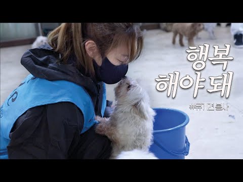 유이ㅣ유기견 보호센터 첫 방문기 🐶ㅣ레인보우 쉼터ㅣvlog ㅣ유이처럼 ☺︎