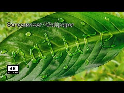 Nature Wallpaper Slideshow/Screensaver In 4K Ultra HD | No Music | Vibrant Colours